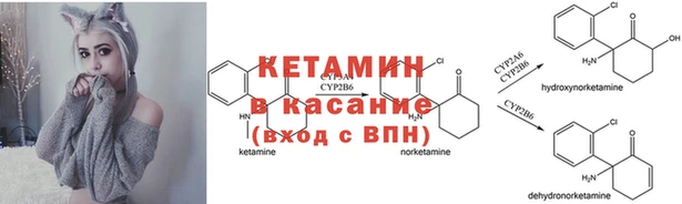 apvp Алексеевка